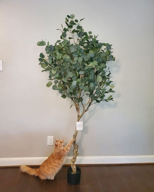 Faux Eucalyptus Tree Discover Quality of Life