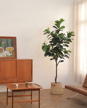 Enchanting Elegance: The Allure of Women and Versatile Faux Trees