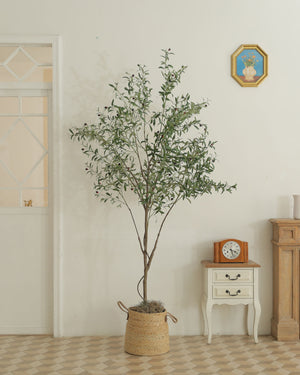 Artificial Olive Tree 2024 New Trend