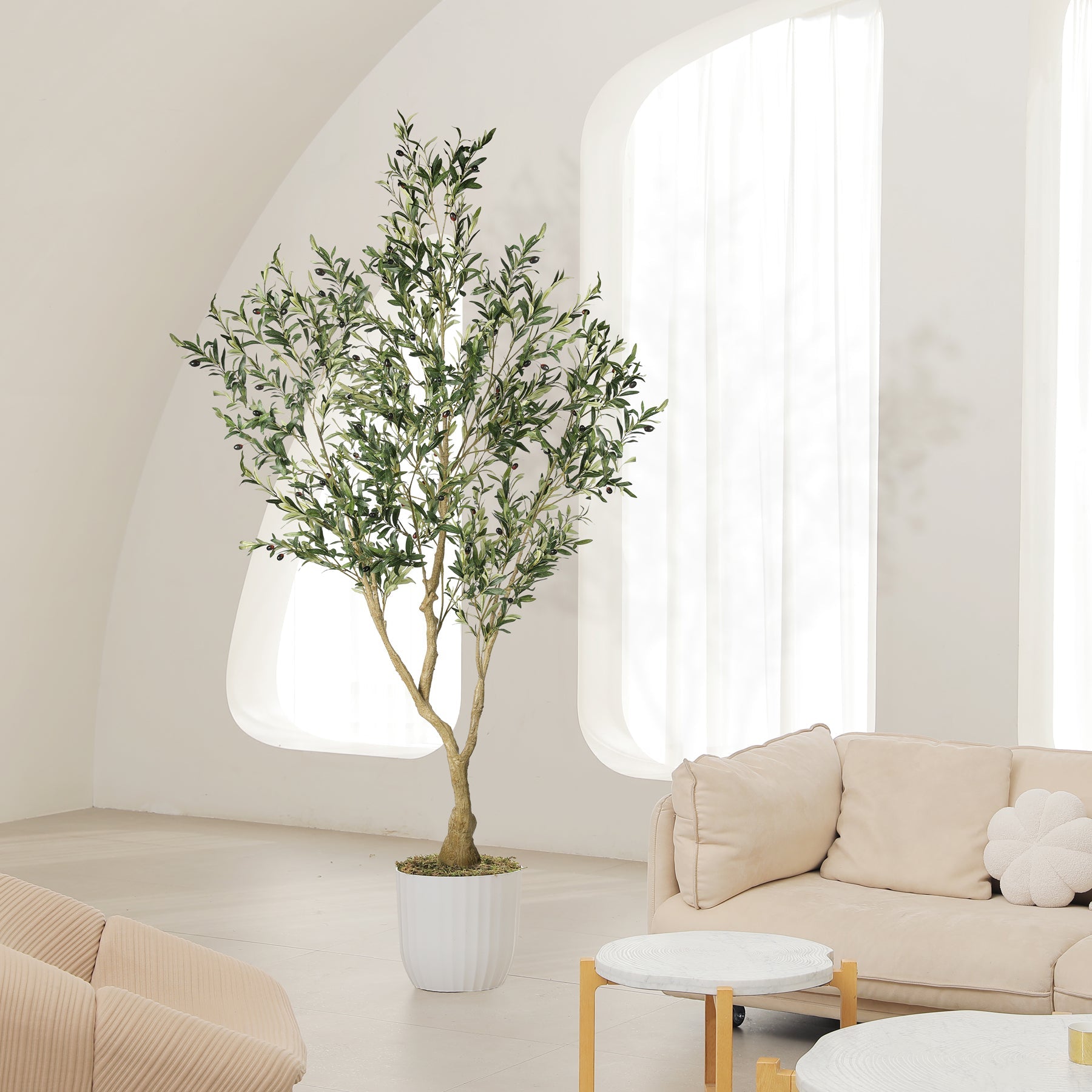Lush Olive Tree – LYERSE