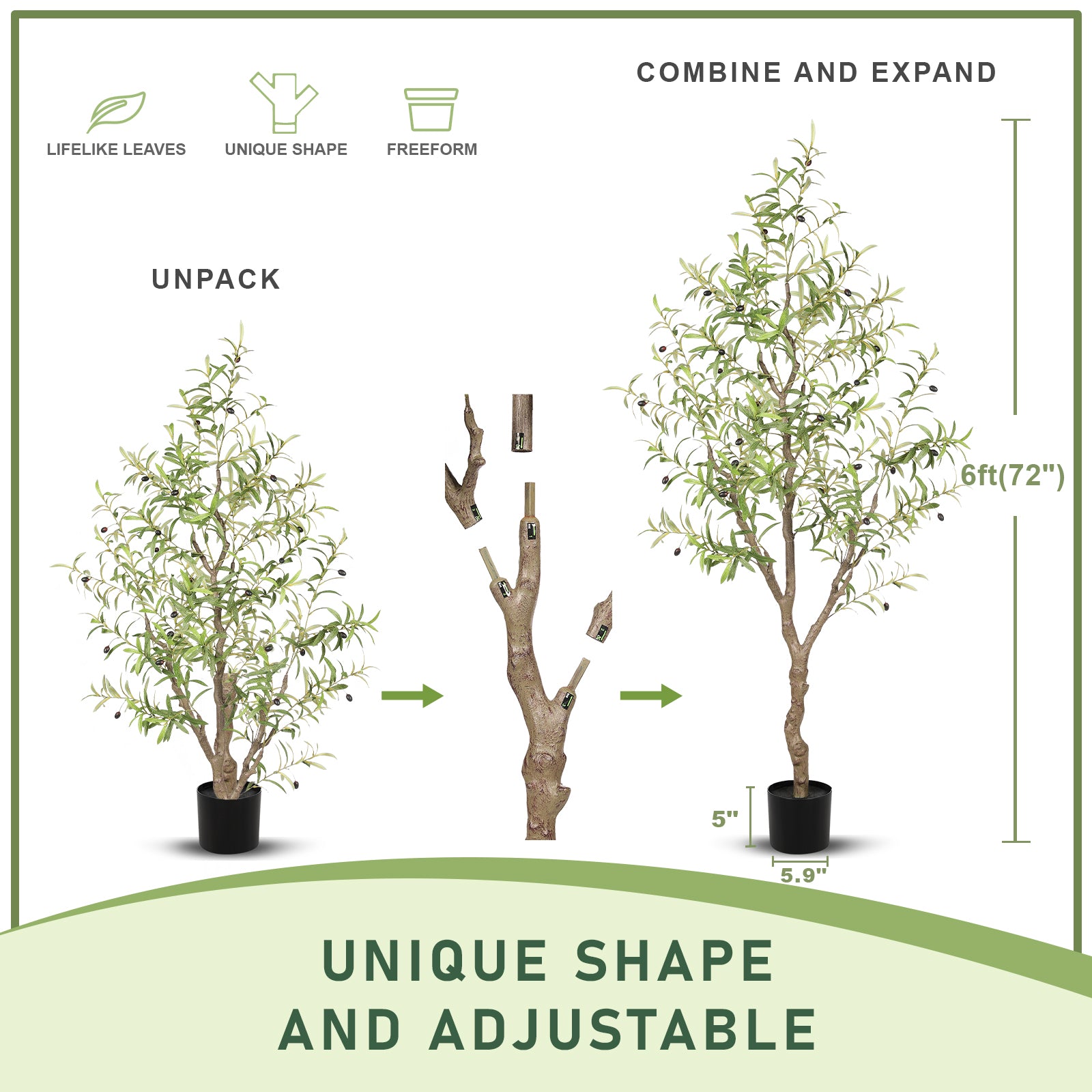 6FT Large Olive Trees Branches