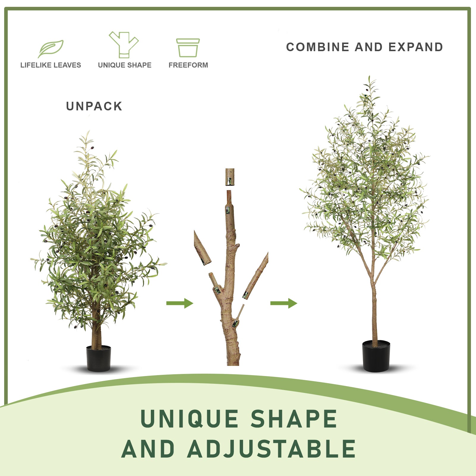 8FT Large Olive Trees Branches