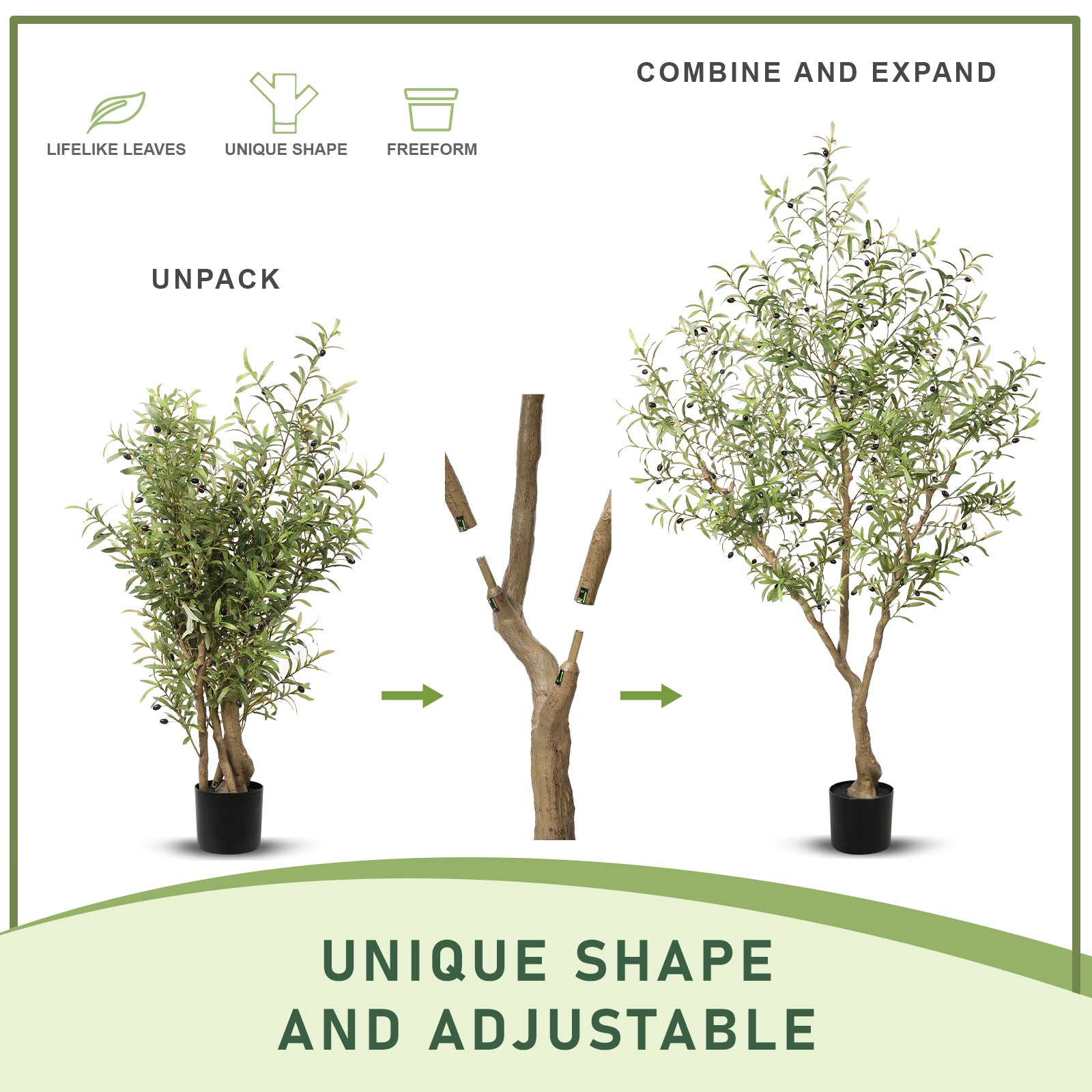 7FT Large Olive Trees Branches