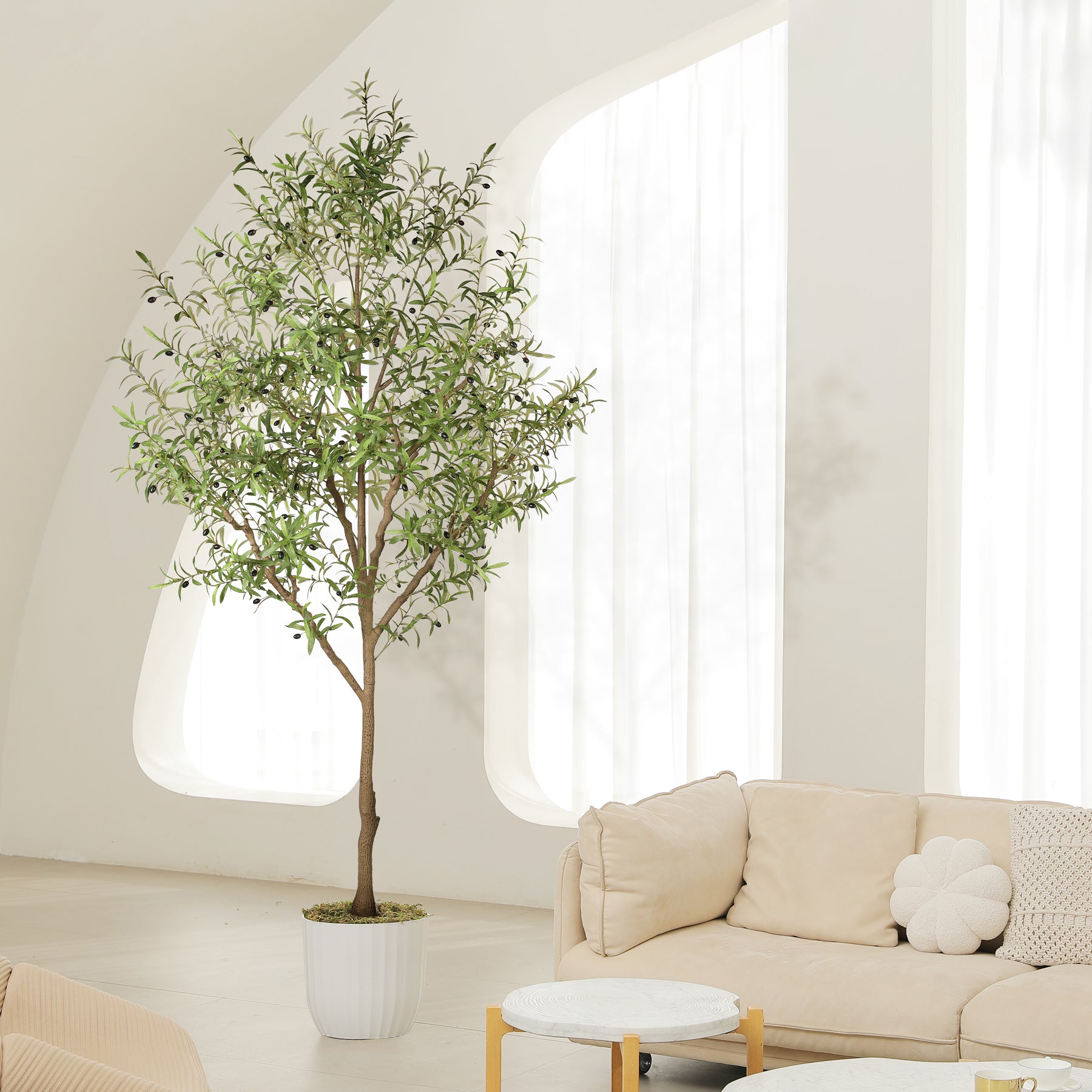 9FT Large Olive Trees Branches