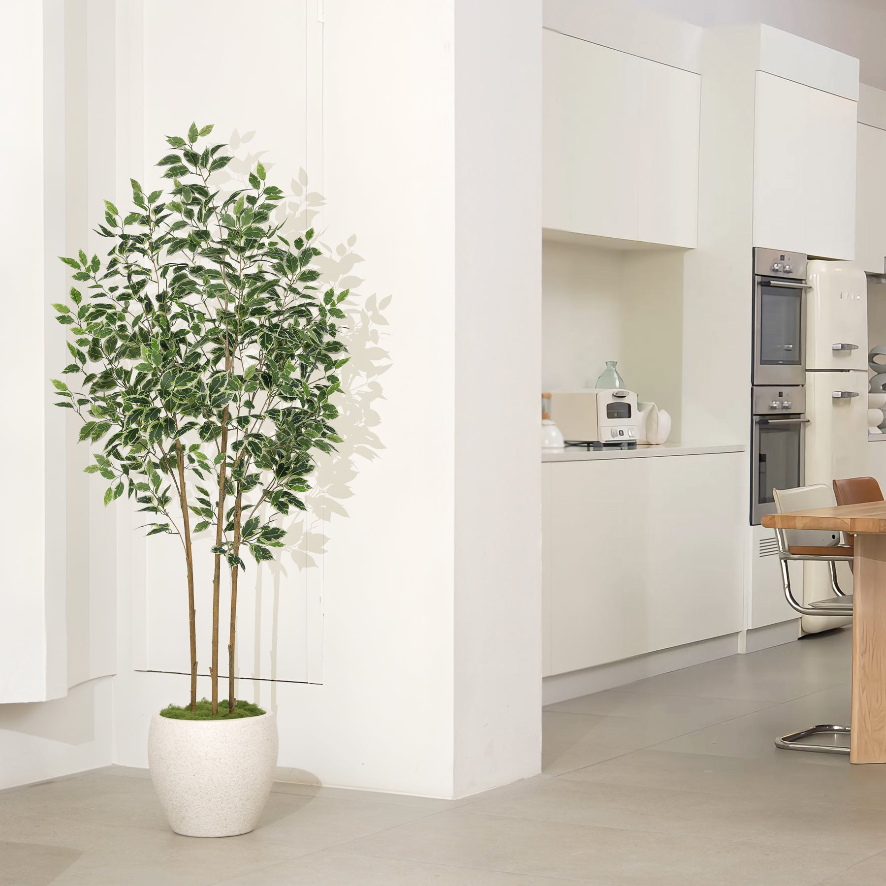 6FT Artificial Ficus Trees