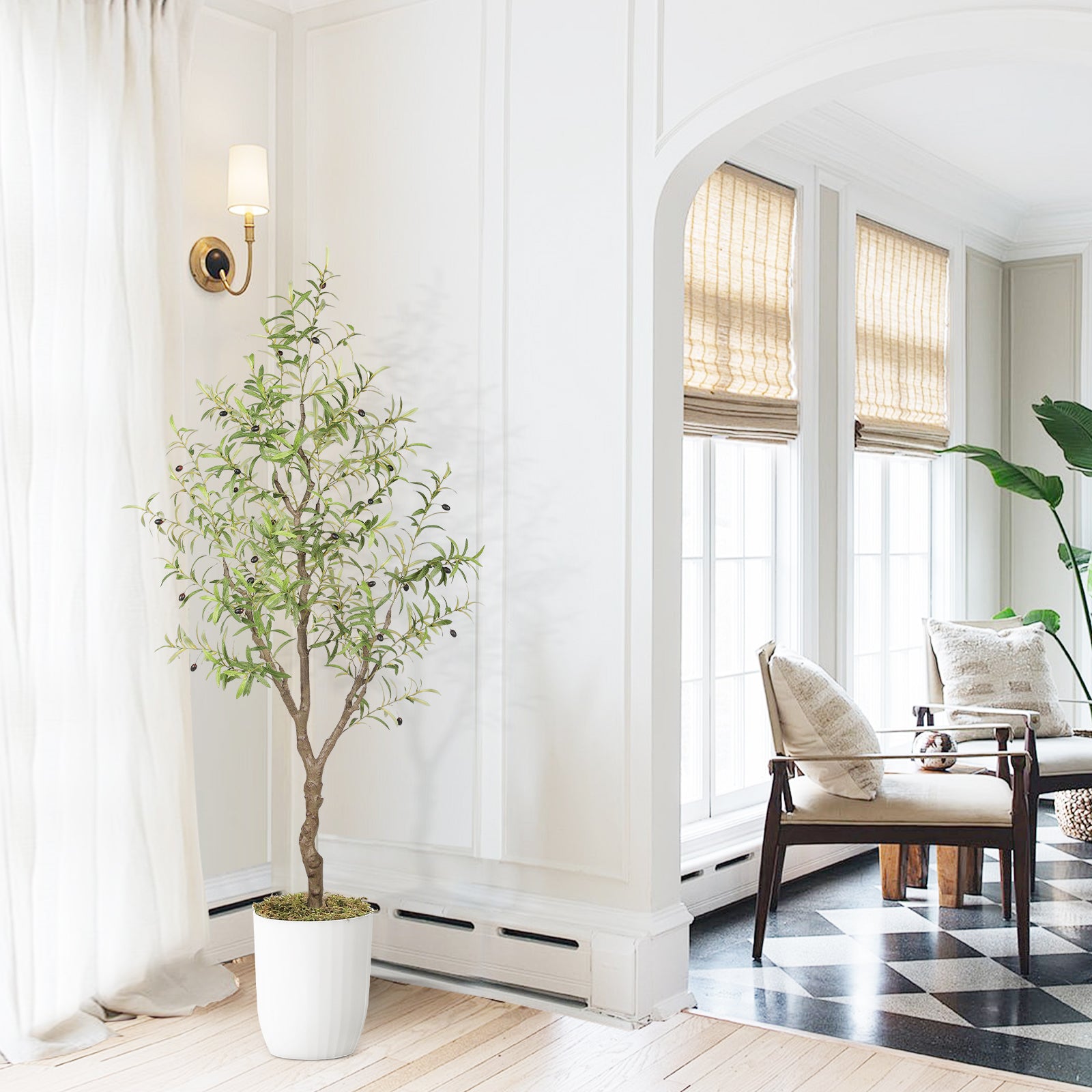 6FT Large Olive Trees Branches