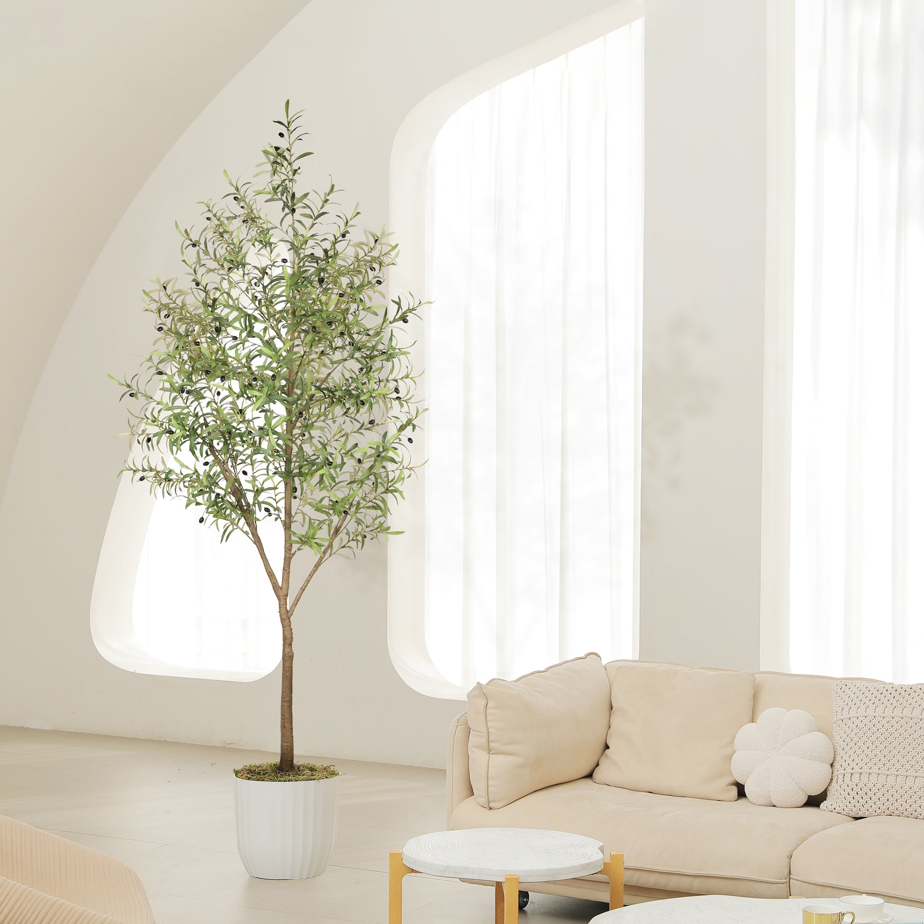 8FT Large Olive Trees Branches – LYERSE