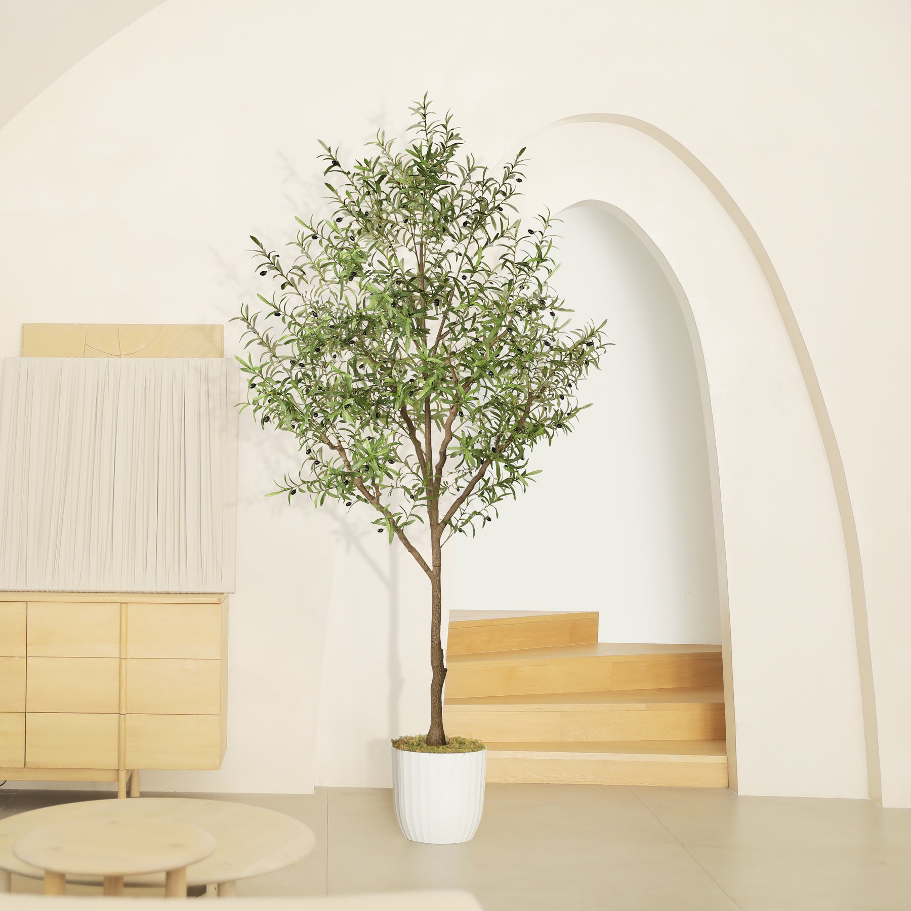 9FT Large Olive Trees Branches