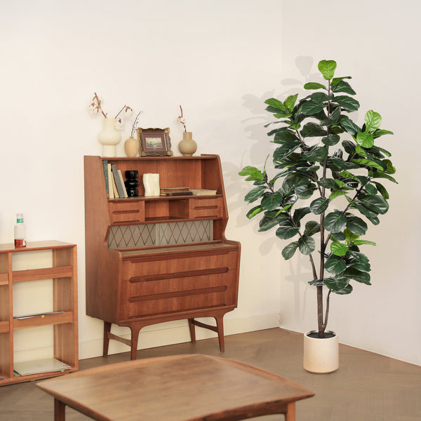 fiddle leaf fig mid century 8ft Fiddle Leaf Fig Tree – LYERSE