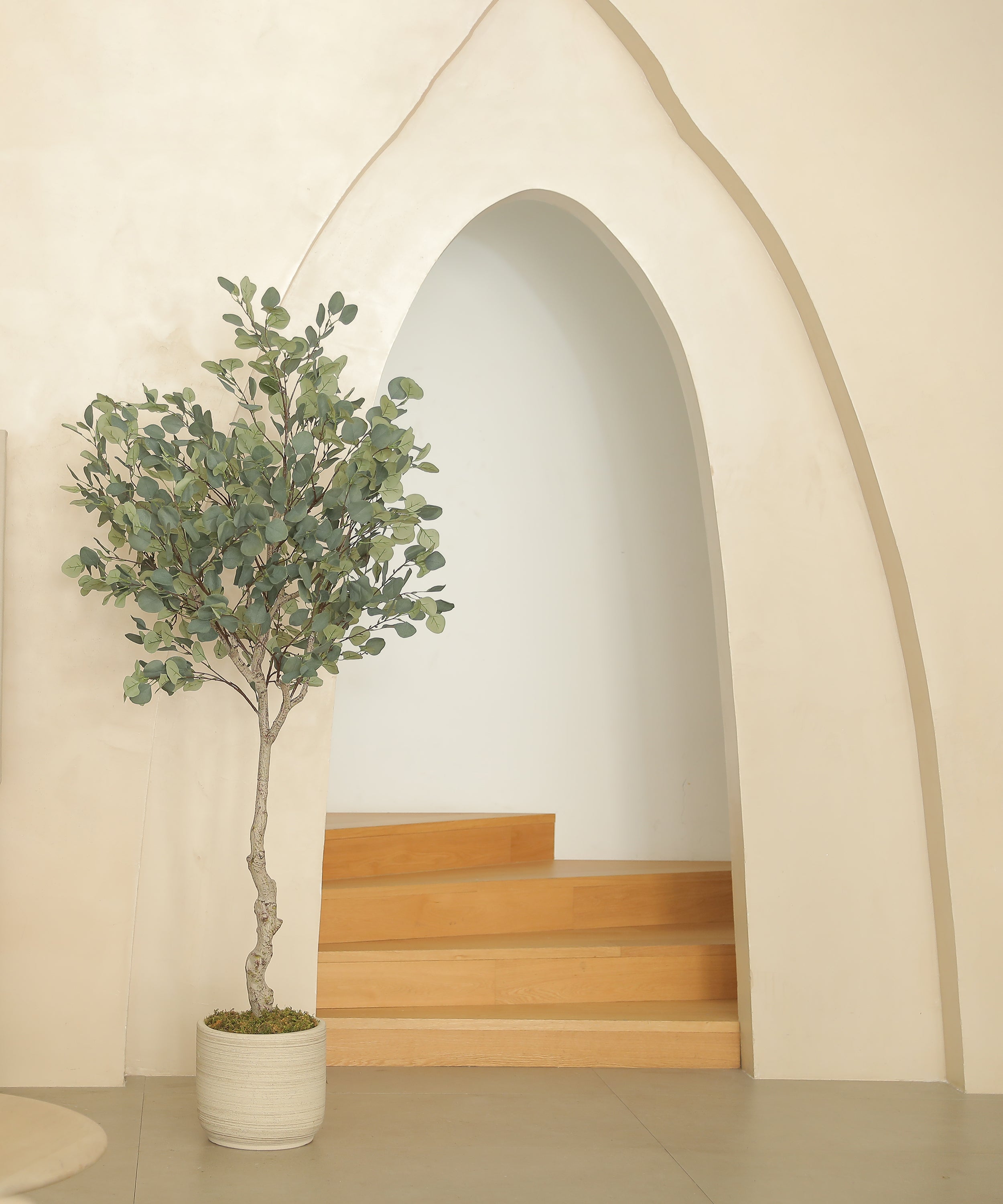 6FT-Faux Silver Dollar Eucalyptus Tree