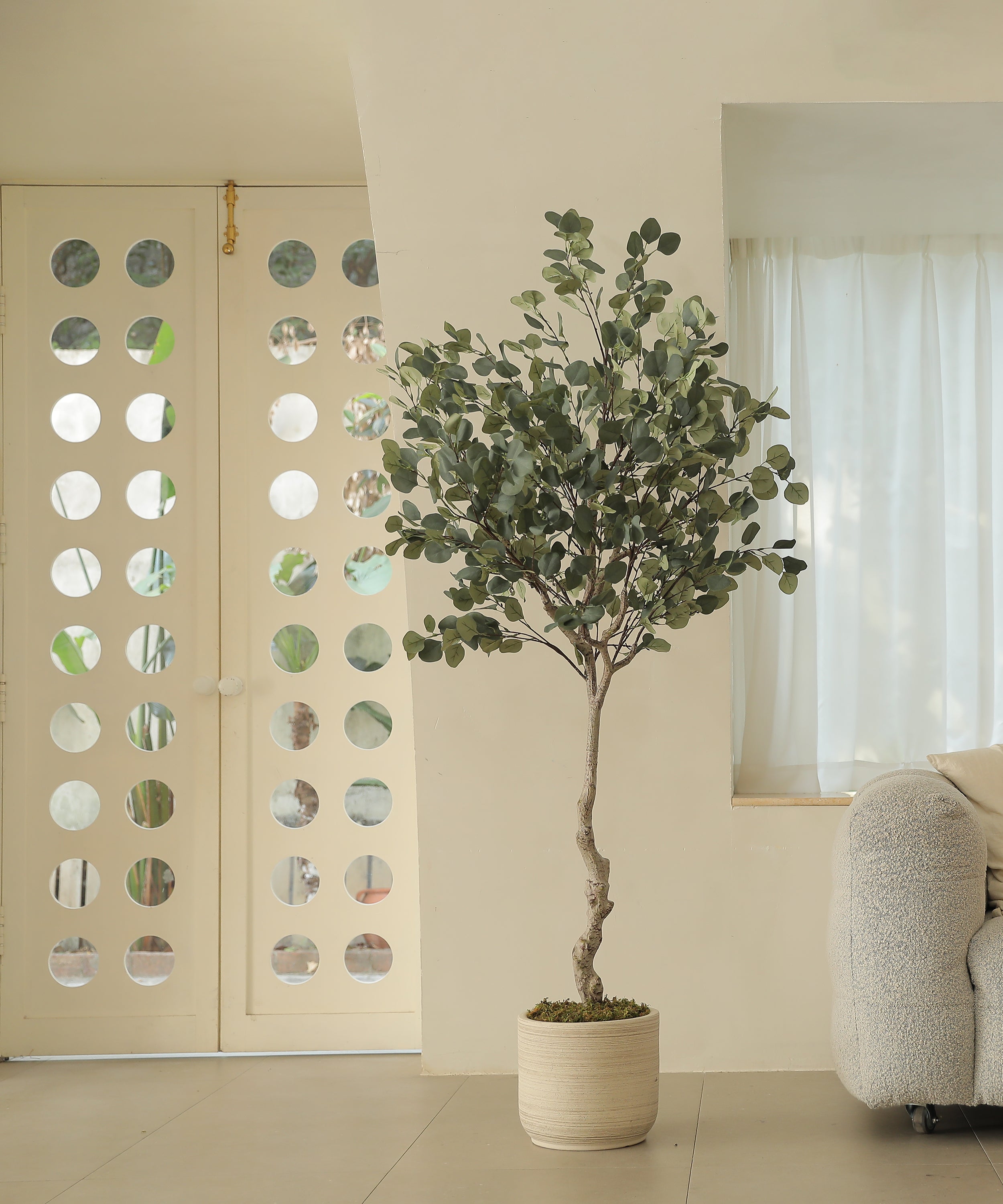 7FT-Faux Silver Dollar Eucalyptus Tree