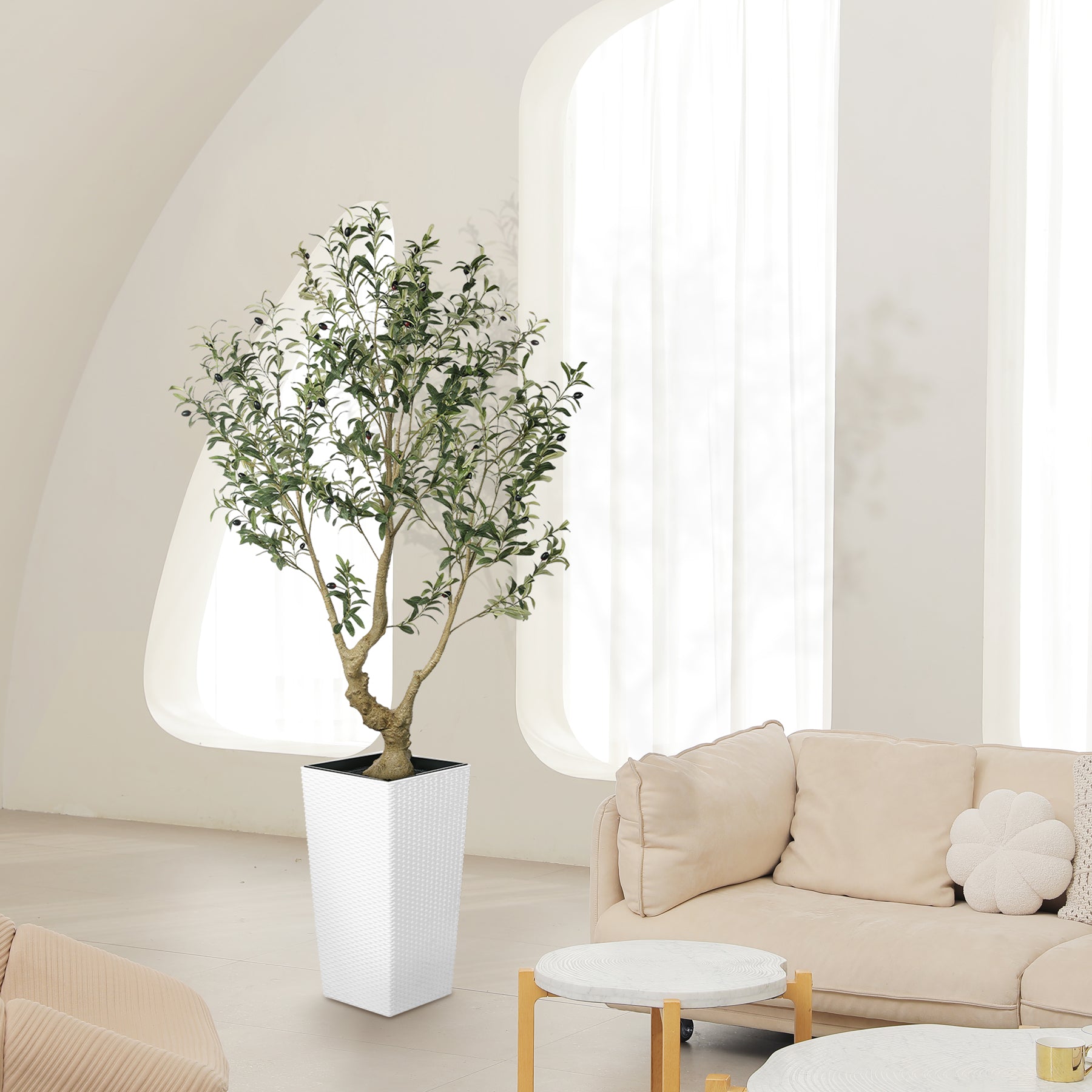 6FT Olive Trees with Tall Planter