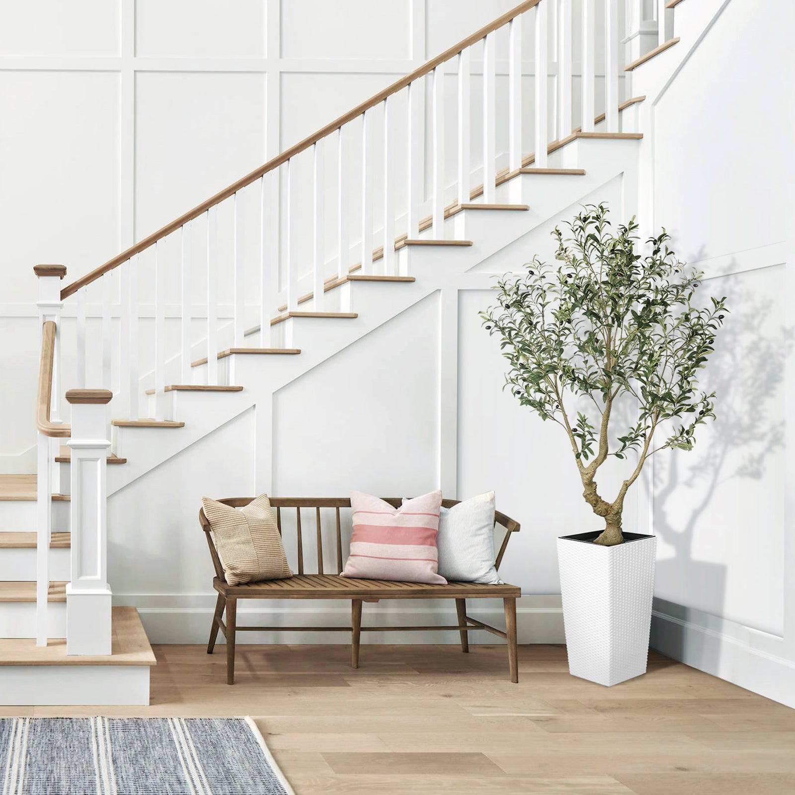 6FT Olive Trees with Tall Planter