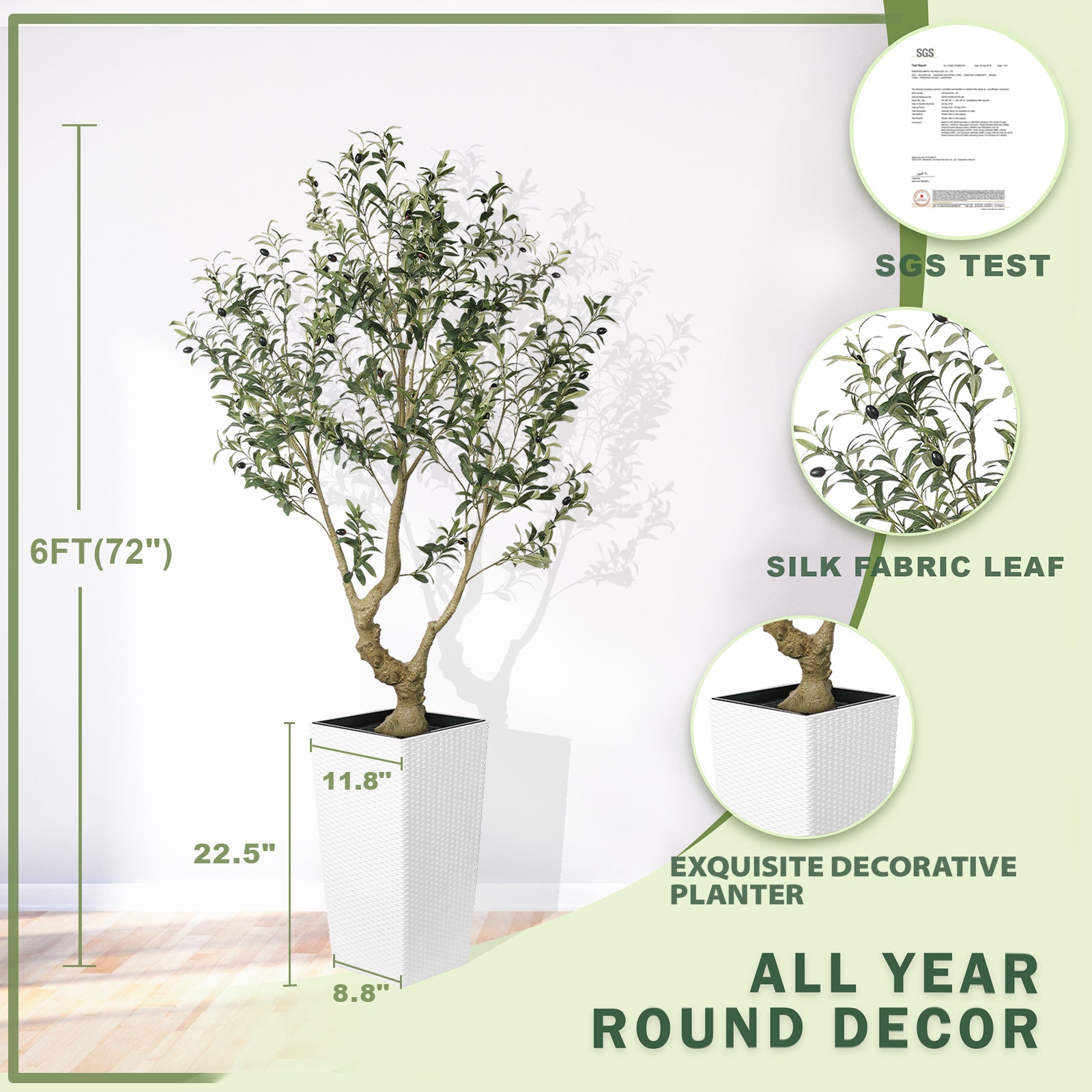 6FT Olive Trees with Tall Planter