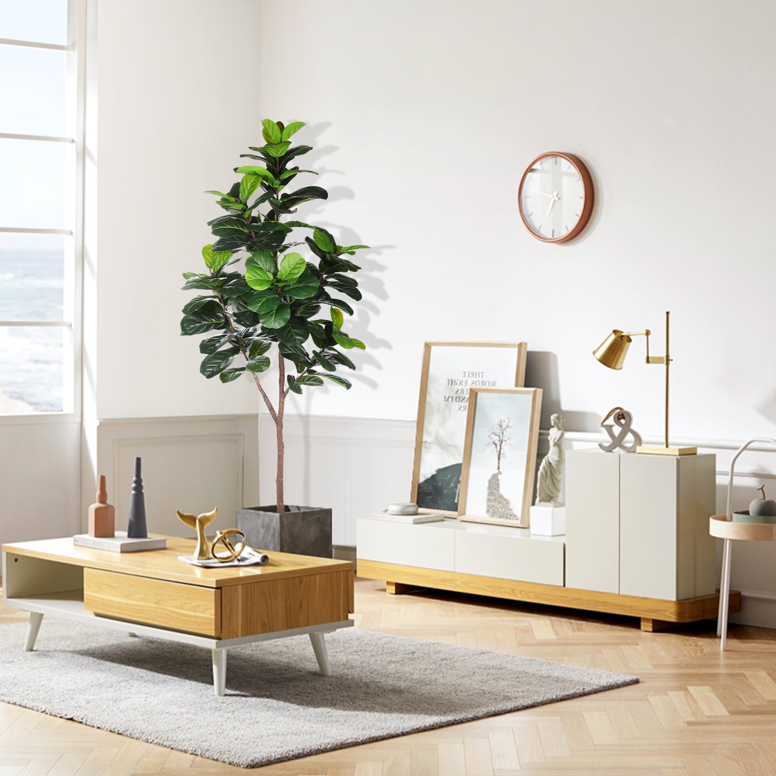 6ft Fiddle Leaf Fig Tree