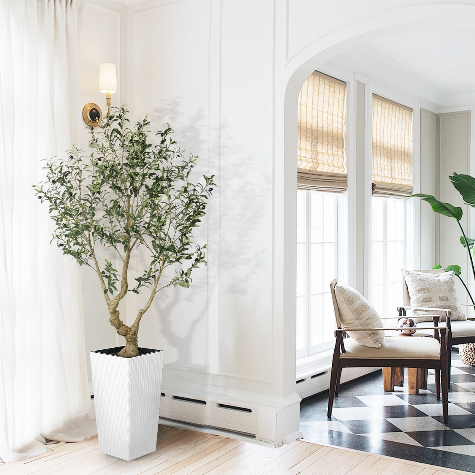 6FT Olive Trees with Tall Planter