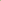 Black Olive Tree