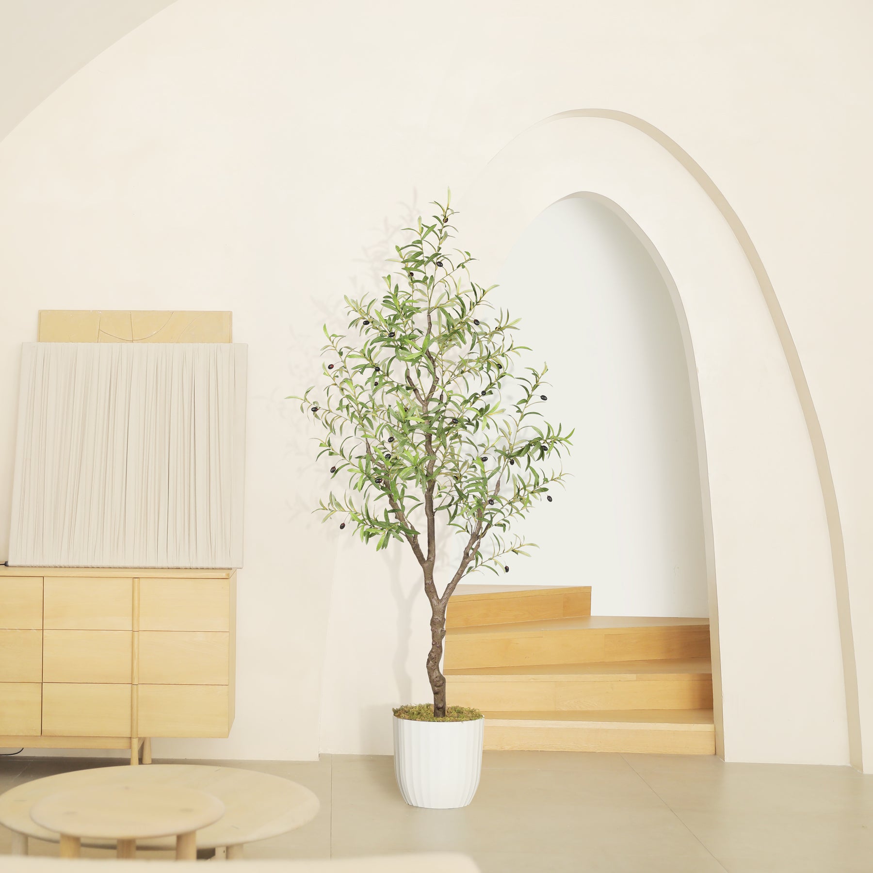 6FT Large Olive Trees Branches