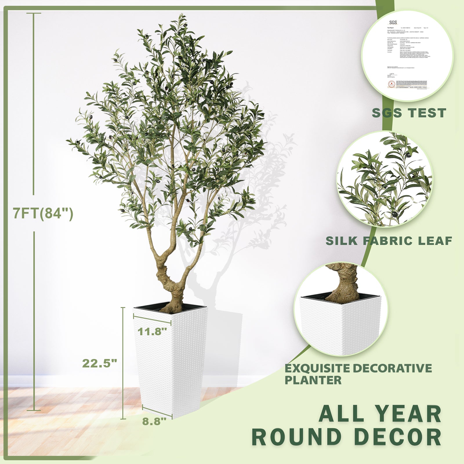 7FT Olive Trees with Tall Planter