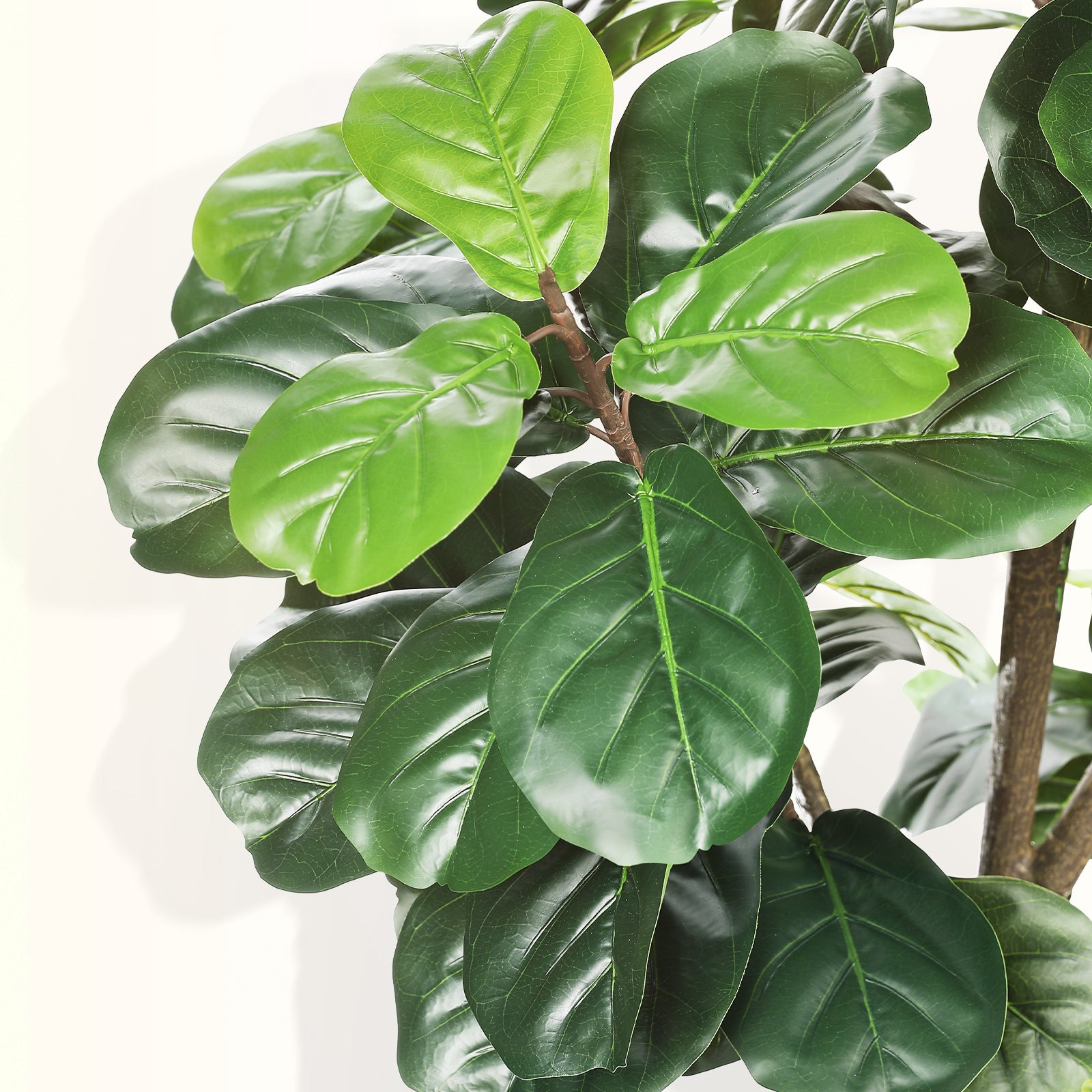 7ft Fiddle Leaf Fig Tree – LYERSE