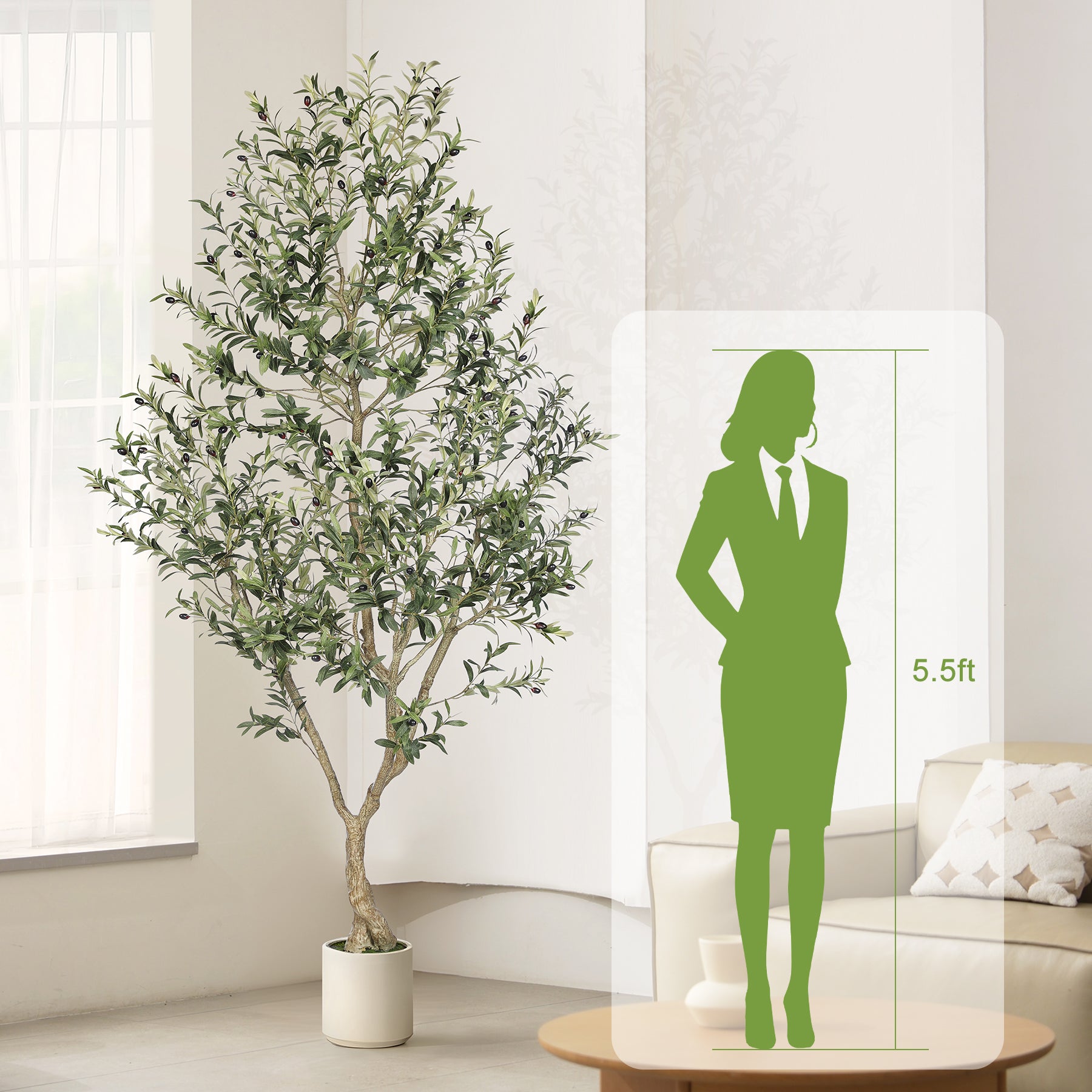 8FT Artificial Olive Trees with White Planter