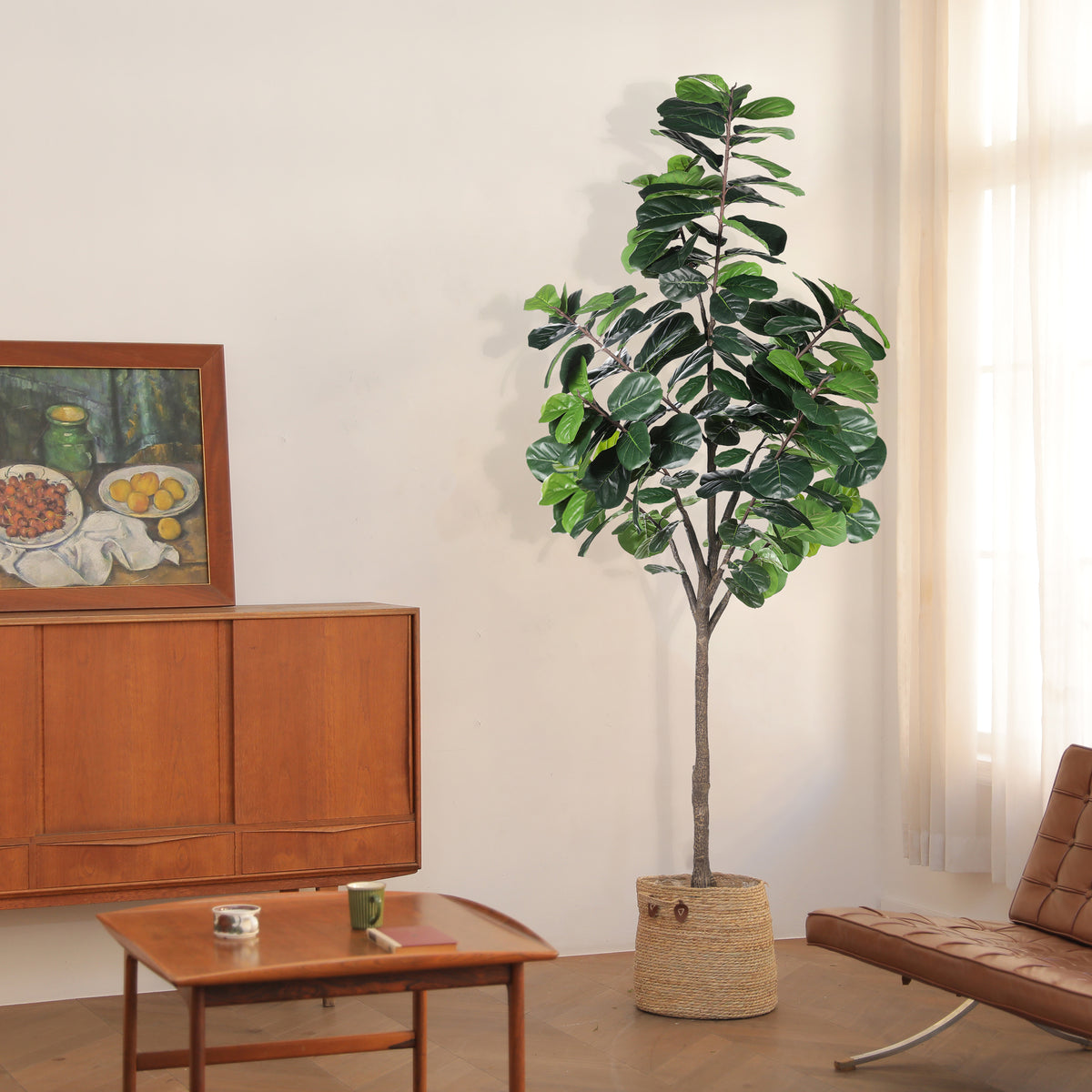 7 foot fiddle leaf fig tree real 8ft Fiddle Leaf Fig Tree 8ft