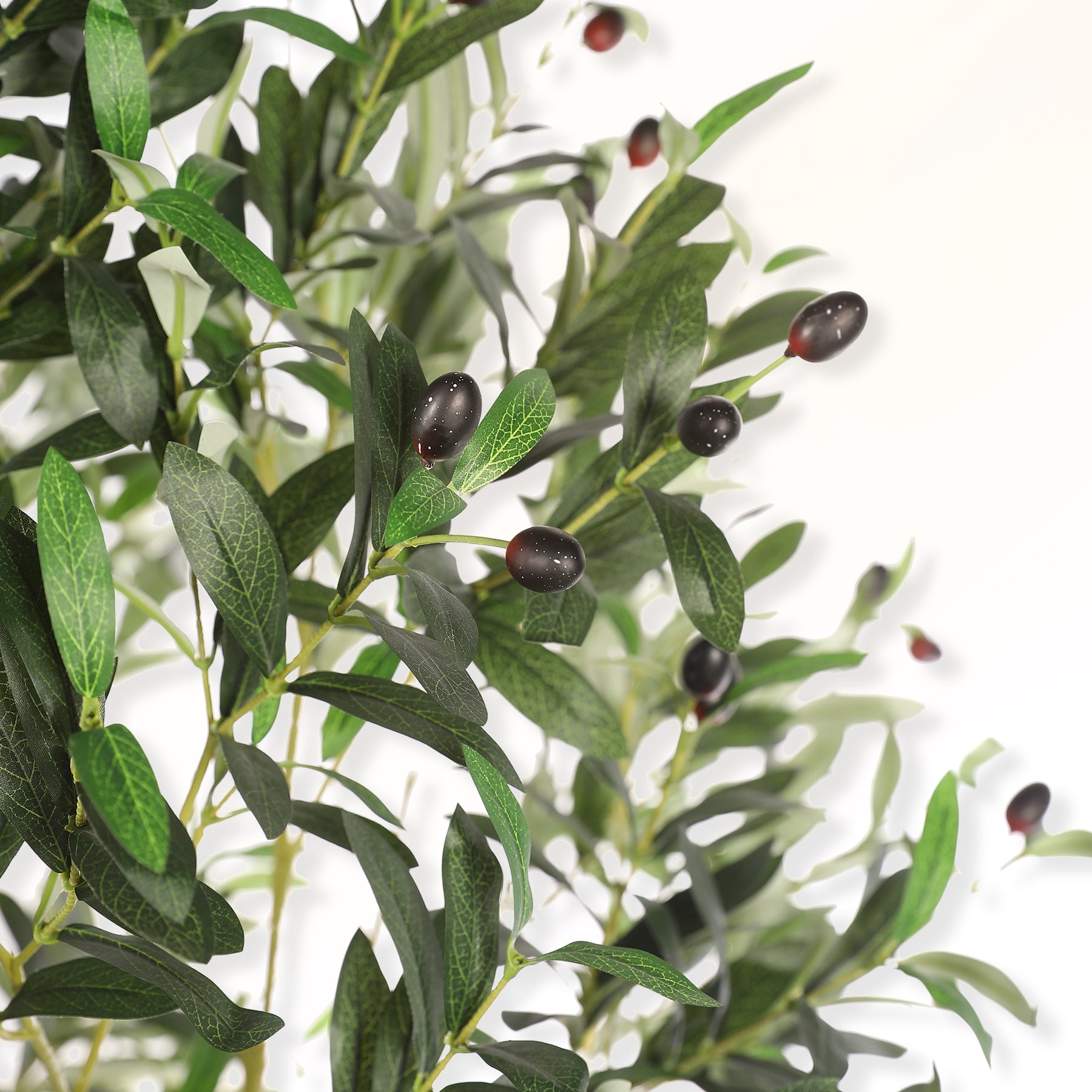 Realistic_Fruits-Leaf